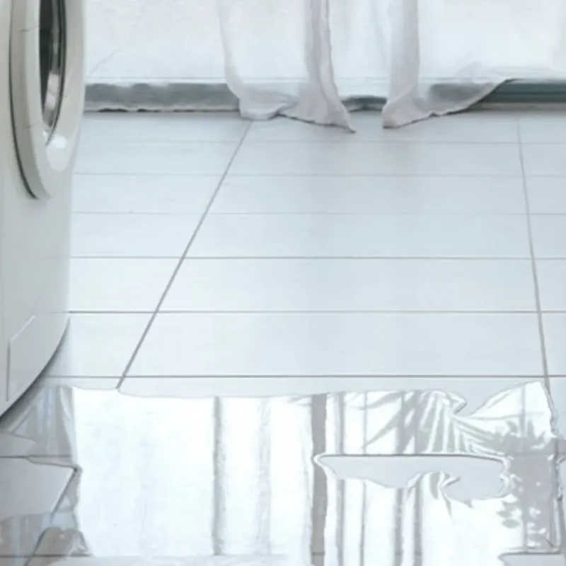 Appliance Leak Cleanup in Hallsville, MO
