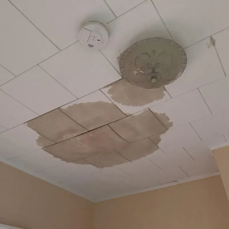 Ceiling Water Damage Repair in Hallsville, MO