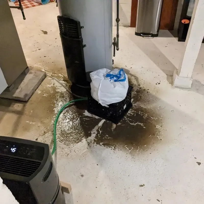 Sewage Backup Cleanup Service in Hallsville, MO